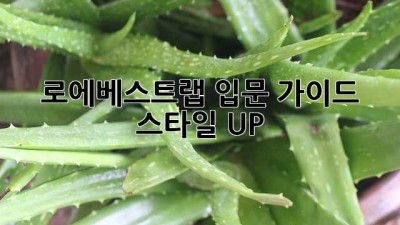 로에베스트랩 입문 가이드 👜✨: 스타일 UP!